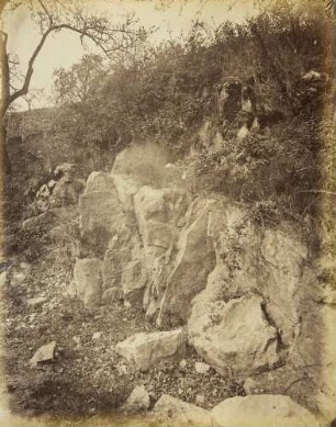 Mittelgrundstudie: Felsen und Terrain: Felspartie mit Brombeerranken