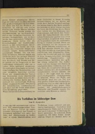 Die Truthähne im Schleswiger Dom