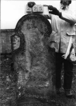 Grabstein 225 (Index: 100115116) Material: Sandstein Zustand: sehr stark verwittert mit sehr großem Textverlust Maße HxBxT: 145x61x14 cm Beschreibung: Stele mit Hufeisenbogen: Grabstein 225
