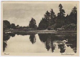 Kassel Karlsaue