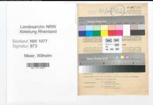 Entnazifizierung Wilhelm Meier , geb. 14.09.1909 (Polizist)