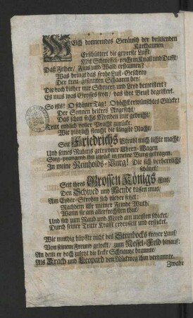[Der Triumphirenden Reinholdsburg Frohlockender Zuruff ...]