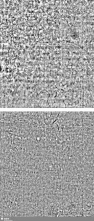 Löwe (steigend) mit Schwert / ES = Bd.1 S.45/46+119/120