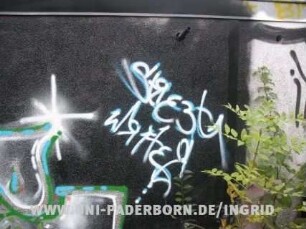 StREEt WRitER