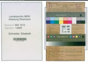 Entnazifizierung Elisabeth Schneider , geb. 29.07.1883 (Gemuesehaendlerin)