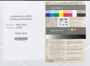 Entnazifizierung Kurt Heise, geb. 05.05.1901 (Steuerberater)