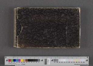 [Stammbuch Amalia Bachmann]