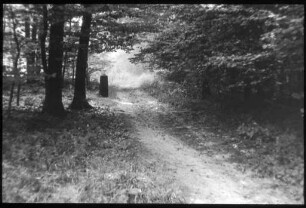 Wegweiser im Wald