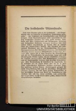 Die freistehende Blütenstaude.