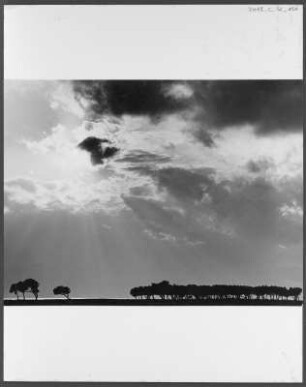 Landschaft am Ichkeul-See : Die fruchtbare Landschaft am Ufer des Ichkeul-Sees