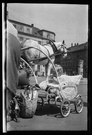 Kleinkind im Kinderwagen neben einer Pferdefkutsche auf dem Marktplatz in Zwickau