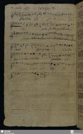 XXIX. Franck, Melchior: Alleluia fürchtet