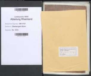 Betrieb der Salinen Theodorshalle und Karlshalle bei Kreuznach und Salzamtliche Sitzungsprotokolle