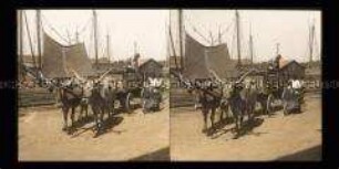 Segelschiffe und Ochsengespann im Hafen, Ravenna