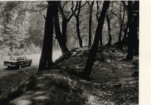 Auffahrt zum Hermannsdenkmal. Drei Bilder: Auffahrt zum Hermannsdenkmal. Über die Egge / B1. Waldweg im Wandergebiet Hiddesen