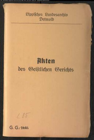 Ilschen Pottharst, Schwester des Henrich Pothast in Talle gegen Tönnies im Hohle (Holle) sonst Dieckman genannt im Kirchspiel Talle, wegen einer Eheklage; Hatten 1616 ein uneheliches Kind gezeugt; Klägerin und Beklagter heiraten; Ilschen Pottharst stirbt 1626; Im Hohle will sich wieder verheiraten mit Ilschen, Lüdeken Resen zu Welstorf Tochter (Rese = Riesing)