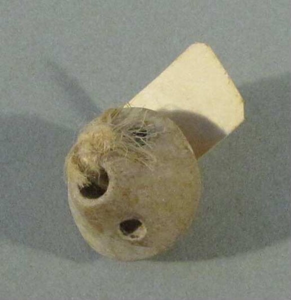 spindle whorl