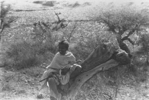 Hirtenjunge : Portrait eines Hirtenjungen in einer Savannenlandschaft auf einem Baumstumpf sitzend