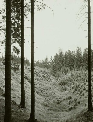 Eiberstock, Westerzgebirge, Eibenstocker Granitgebiet, Pinge der Grube Neuglück