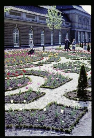 Chlttbg. Schlosspark 9.5.64.