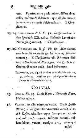 Corvus