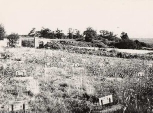 Deportiertenfriedhof Gurs. Zustand des Friedhofs vor der Neugestaltung
