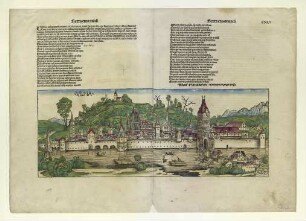 Ulm von Süden. Um 1493