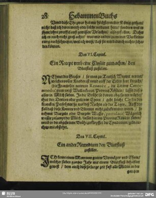 Das VI. Capitel. Ein Recept umb eine Clystir zumachen, den Blutfluß zustillen