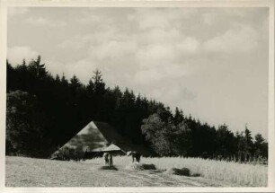 Getreideernte im Dreisamtal