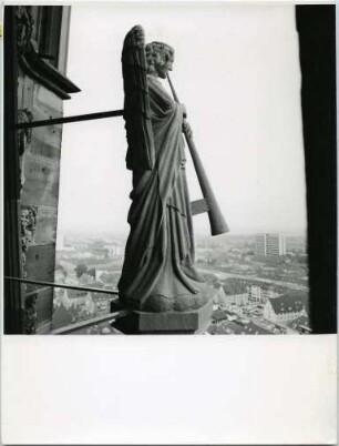 Das Freiburger Münster