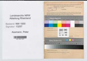 Entnazifizierung Peter Assmann, geb. 13.05.1903 (Buchhalter)