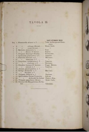 Tavola III.