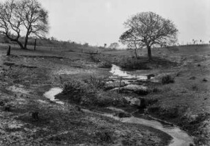 Kleiner Bach : Ein schmaler Bachlauf in einer Landschaft.