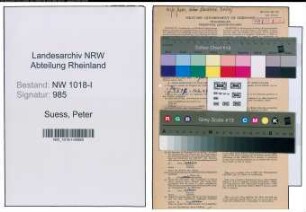 Entnazifizierung Peter Suess , geb. 31.01.1903 (Landwirt)