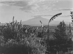 Mount Meru : Blick auf den Vulkan Mount Meru