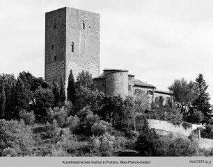 Torre dei Belforti, Montecatini Val di Cecina