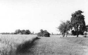 Bad Muskau-Berg. Blick auf das ehem. Windmühlengehöft