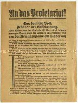 Flugblatt der USPD zum Versailler Vertrag