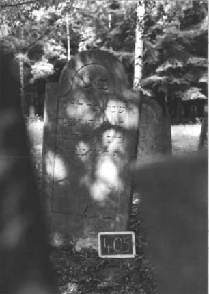 Grabstein 405 (Index: 99895857) Material: Sandstein Zustand: sehr gut Maße HxBxT: 142x63x11 cm Beschreibung: Stele mit eingezogenem Rundbogenabschluss: Grabstein 405