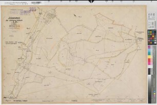 Asbeck (Menden), Umlegung Asbeck, Bl.1 Zuteilungskarte Asbeck Flur 1