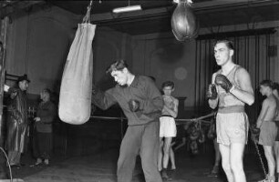 Boxer beim Training am Sandsack
