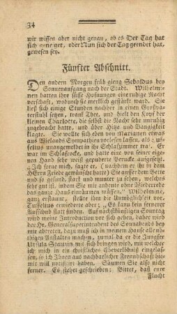 Fünfter Abschnitt.