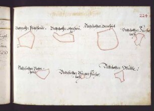 Neuffener Hut: Balzholzer Pfohlheule, Oberheule, Gernspiel, Fuchsloch, Underheile, Bürgerfuchsloch und Wäldle