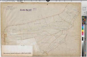Langenholthausen (Balve), Blintrop (Neuenrade), Umlegung Langenholthausen-Blintrup, Bl.7 Urkarte II, Langenholthausen Flur 8