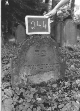 Grabstein 244 (Index: 99894684) Material: Sandstein Zustand: eingesunken und abgeblättert Maße HxBxT: 59x58x8 cm Beschreibung: Stele mit eingezogenem Rundbogenabschluss: Grabstein 244