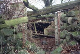 Gut Jersbek: Eiskeller: Teilansicht: Ruine