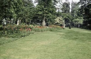 Dresden. Großer Garten. Parkteil mit Tulpen