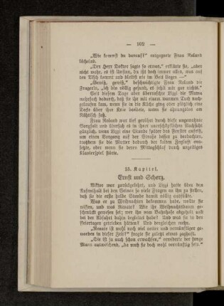 15. Kapitel. Ernst und Scherz.