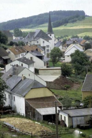 Ortsansicht Neidenbach