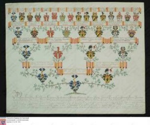 Ahnenprobe des Johann Alois Franz Carl Friedrich v. Greiffenclau z. Vollrads. - ausgefertigt 1796 Juni 6 Burgmann, Pergament